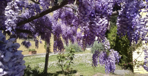 Farmhouse Tuscany Villa Gorgognano